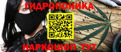 прущие грибы Бузулук