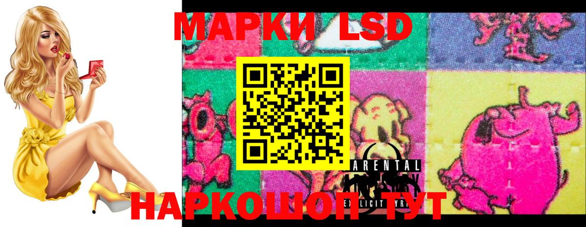 Новокубанск  ЛСД экстази кислота  Вход с VPN  LSD-25 экстази кислота 