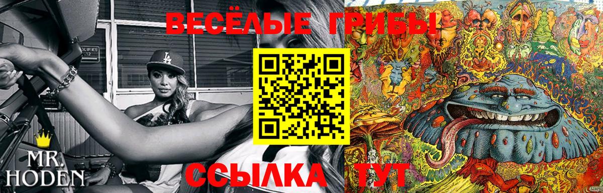 закладка  Вход с VPN  Новокубанск  Галлюциногенные грибы Psilocybine cubensis 